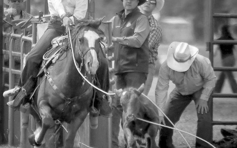 Local talent among winners at Dewey Co. 4-H Rodeo