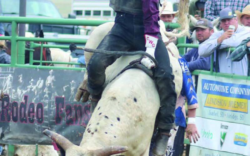 Timber Lake’s Chazz Gabe battles a bull at the Isabel Rodeo on Saturday, August 2, but was eventually bucked off. Gabe is currently fifth in the Northwest Ranch Cowboy Association (NRCA) bull riding standings. Photo by Jon Flatland