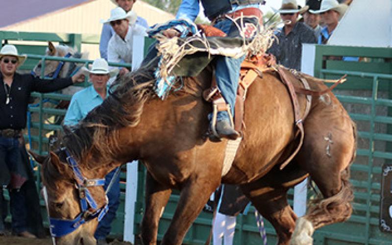 Lanny Brooks of Faith scored 74 on this ride to finish tied with Kaden Deal for top honors in saddle bronc riding at the Isabel Rodeo. Photo by Jon Flatland
