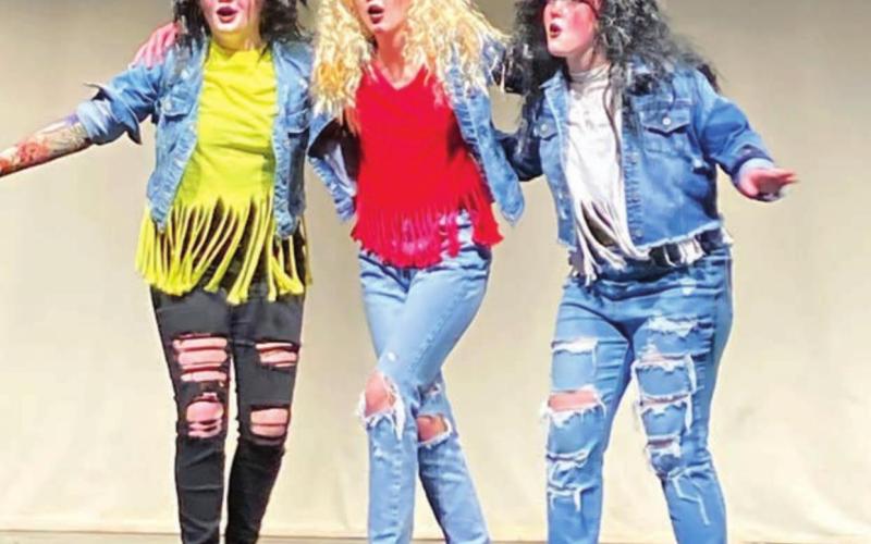THIRD PLACE: 3 Peas in a Pod, 8th grade, L-R: Gailup Bollinger, Hailey Roggow, and Emma Johnston.