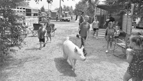 Eli Zeug showing his pig