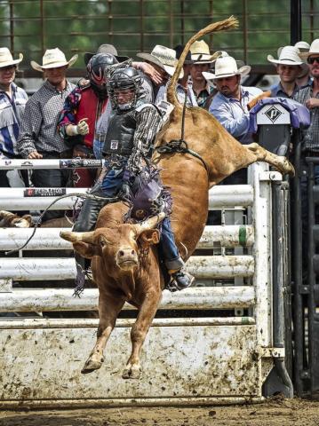 Wynn Lawrence of Whitehorse, one of the premier young bull riders in the region, won the SD 4-H State Bull Riding title in Ft. Pierre last weekend. Photo by Plooster Photography