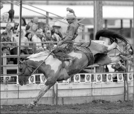 Faith cowboy Kash Deal holds down the top spot in the PRCA’s Badlands Circuit Saddle Bronc Riding standings heading into the Circuit Finals Rodeo this weekend in Minot, ND. Right behind him in second place is close friend Cole Elshere, also of Faith. Topic File Photo
