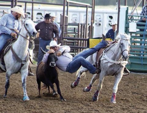 When he’s not working as one of the top pick-up men in the business, JJ Hunt of Ridgeview is competing in steer wrestling. Above, he takes his shot during the Isabel Rodeo. Hunt didn’t go winless over the weekend, however, as he snagged top honors in steer wrestling at the Oglala Lakota Nation INFR Rodeo in Pine Ridge with a 4.19 second run. Look for lots more photos from the Isabel Celebration and Rodeo on the Topic Facebook page. Photo by Jon Flatland