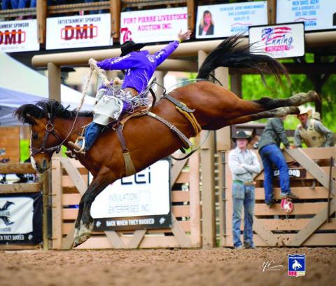 Saddle bronc rider Shorty Garrett of Dupree covered two of three broncs last week in Bracket C of the Calgary Stampede in Calgary, Alberta, Canada. Garrett placed fourth with an 84.3 on one ride and third with an 85 point effort on the other. All totalled, he left the Canada with $7,750 in winnings.  File photo courtesy of Chuck Miner