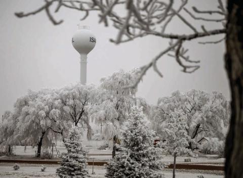 Dense fog and heavy frost that blanketed the region last week have carried over into this week, making for some picturesque scenery like this view through the trees of the Isabel water tower. Photo by Marie DuPreez