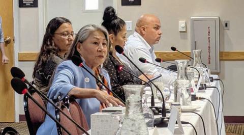 Outgoing Standing Rock Sioux Tribe Chair Janet Alkire. Photo by John Hult