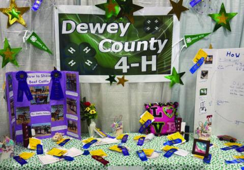 Dewey Co. 4-H members exhibit projects at the South Dakota State Fair