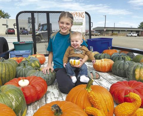 Raelyn Quaschnick sold pumpkins from her garden Sunday afternoon to raise money for a trip to Washington, DC. Cal Hanssen was her happy helper.