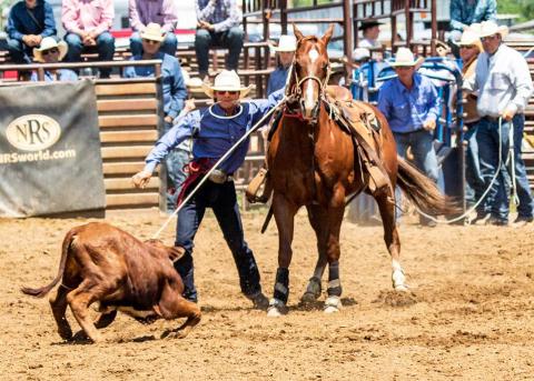 Rope Roghair of Isabel keeps his eye on the prize while competing in tie-down roping at the Northwest Regional Rodeo June 9-11 in Dupree. Roghair qualified for the State HS Finals Rodeo in Ft. Pierre this week in tie-down roping, team roping and saddle bronc riding. Photo by Dave Clausen