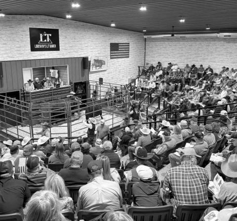 Packed House ...