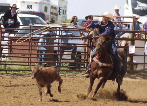 Left, Hayes Burress of Isabel throws his loop while competing in the calf roping event at the South Dakota High School Rodeo Association’s Northwest Region Rodeo on Saturday, and Sunday, June 14-15, in Dupree. Burress qualified for the State HS Finals Rodeo in calf roping and team roping. Photo by Jon Flatland
