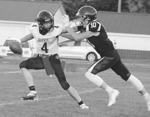 Panthers in Action ...