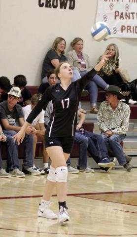 Timber Lake’s Geana Bollinger concentrates on her serve during volleyball action against Herreid-Selby last Thursday, Sept. 12. The Panthers played six matches over five days last week.