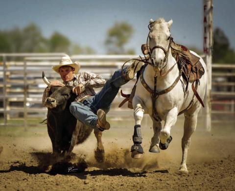 Gettin’ it done ... At left, Dupree senior Roper Eaton shows the form that won him the steer wrestling event at the Faith High School Practice Rodeo last week. No official results had been posted for the rodeo as this issue of the Topic went to press. Timber Lake will host its annual practice rodeo on Saturday, May 24, with rodeos in Lemmon and Clark slated for Memorial Day, Monday, May 26. Photo courtesy of Chuck Miner