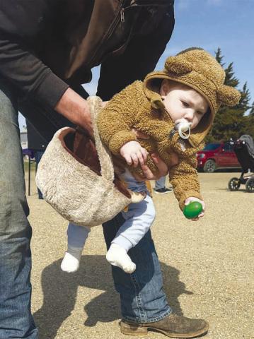 Little Denver Enright was one of the youngest participants at the annual Dewey County 4-H Easter egg hunt, which was held April 11, after being postponed due to weather on Easter weekend. Denver’s dad, J.D., offered some assistance. (More inside.) Topic Photo/Kathy Nelson