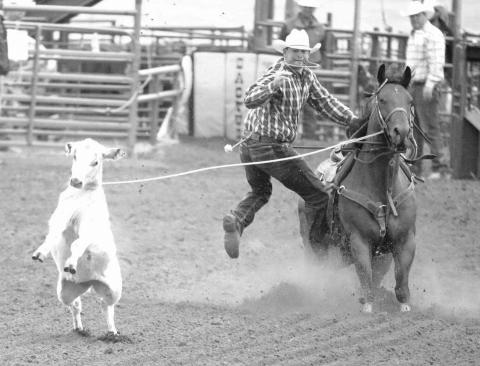 Trey Young of Dupree will be plenty busy over the next month participating in finals rodeos. He finished the regular season atop the South Dakota Rodeo Association’s tie-down roping standings and fourth in the North Dakota Rodeo Association ranks. Young is also second in the PRCA’s Badlands Circuit standings and currently leads the race for All-Around Cowboy honors heading into the circuit finals rodeo Oct. 14-16 in Minot, ND. Topic file photo by Jon Flatland