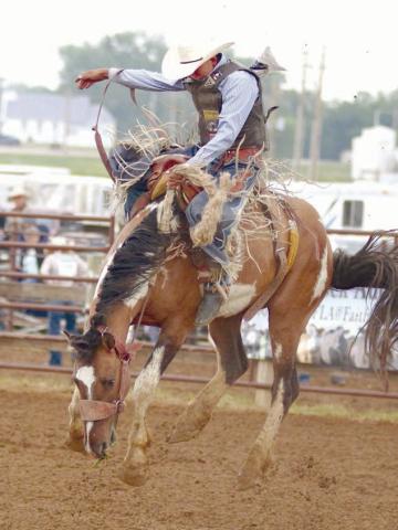 Mark Sandquist of Trail City, a member of the Timber Lake High School Rodeo Club, qualified for four different events at the South Dakota High School Finals Rodeo this weekend in Ft. Pierre. Sandquist will compete in boys cutting, team roping, saddle bronc riding and bull riding. Photo by Jon Flatland