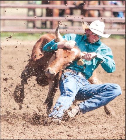 Mud Wrestlin’ ... Mud flies as Stran Williams of Wall, SD, takes his pass at steer wrestling during the 62nd Pioneer Days Rodeo held Saturday and Sunday, June 24-25, as part of the community’s annual celebration. Six inches of rain and high winds made competing difficult on Saturday night but the sun was shining and all contestants had to contend with was the mud and cantankerous stock on Sunday. Check out more photos from the rodeo on the Timber Lake Topic Facebook page. Photo by Jon Flatland