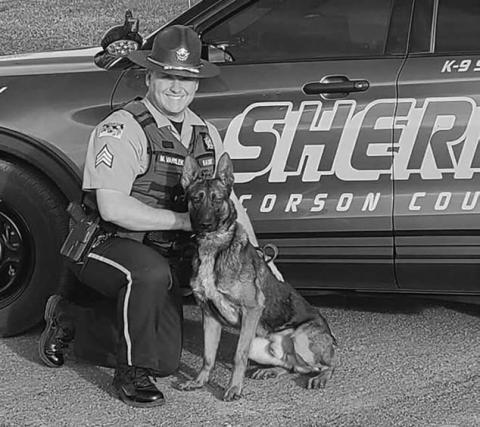 Corson County Sheriff’s Office K9 Zigi receives donated body armor