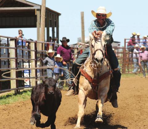 Rope Roghair of Isabel throws his loop during the regional high school rodeo in Dupree on Saturday. Photo by Jon Flatland