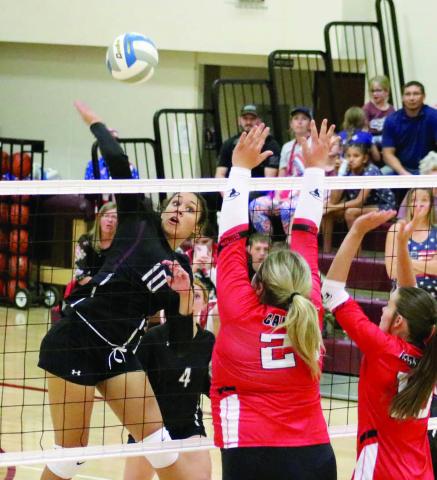 Hammer Time ... Timber Lake senior Jasmine Nash (10) smashes a kill spike during Homecoming Week action against the Bison Cardinals last Thursday, Sept. 5. The Panthers claimed a three-game sweep over the Cardinals with Nash leading the team in service aces, blocks and kills.
