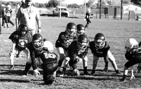 Panther Cubs