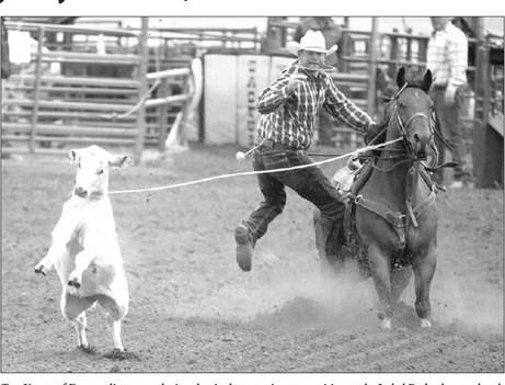 Trey Young of Dupree dismounts during the tie-down roping competition at the Isabel Rodeo last weekend. Young, 31, currently leads the South Dakota Rodeo Association’s season standings, is ranked second in the Northwest Ranch Cowboys Association, and is third in the North Dakota Rodeo Association. Photo by Jon Flatland