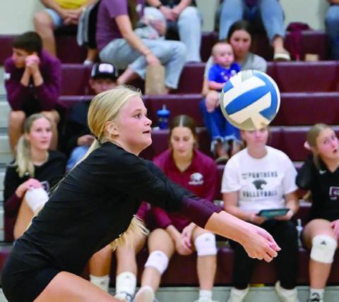 Hailey Roggow (above) bumps the ball during Timber Lake’s season opener against Harding County last week. The Ranchers upended the Panthers 3-0 in the match. (left) The Panthers celebrate winning a point after a long volley. Photos by Marie Du Preez