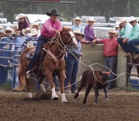 Riley Glines of McIntosh competes in a roping event at the State 4-H Finals Rodeo in Ft. Pierre.