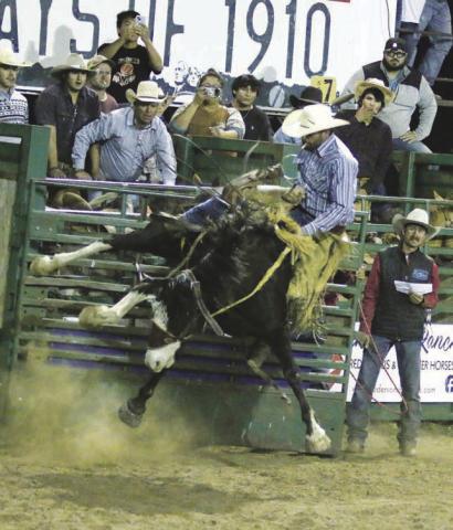 Ranch rodeo