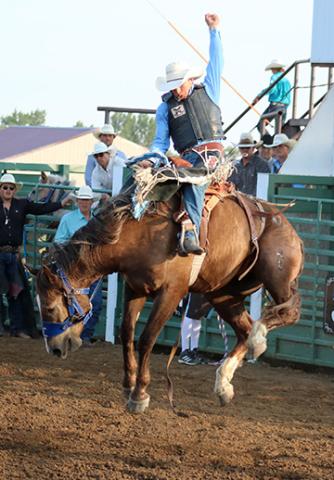 Lanny Brooks of Faith scored 74 on this ride to finish tied with Kaden Deal for top honors in saddle bronc riding at the Isabel Rodeo. Photo by Jon Flatland