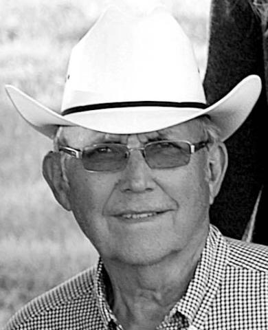 Leon J. Vasek