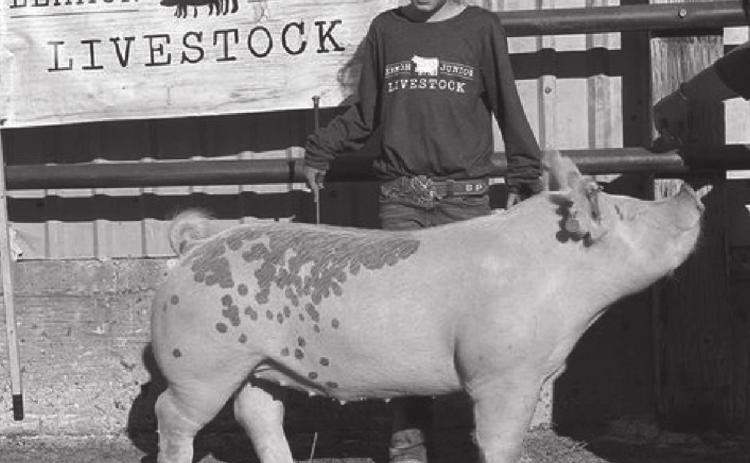 Local 4-Hers participate in Lemmon Jr. Livestock Show