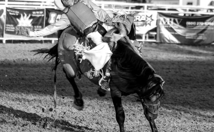 Tayson Jones, Howes, tries to get all he can out of a bucking horse during the Faith Stock Show Rodeo.