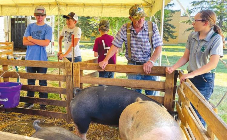 RIGHT: Norman Hieb takes a look at the livestock 4-H members brought to the Achievement Day. At right is Bricelyn Pederson. Dewey County does not have judging for livestock so 4-H members will exhibit at the Corson County Fair in McIntosh on August 13. Photos by Kathy Nelson