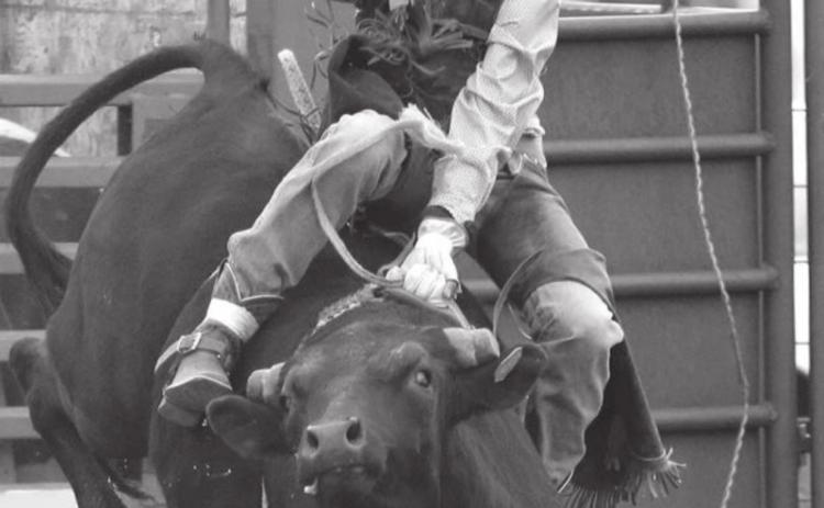 Pete Maher