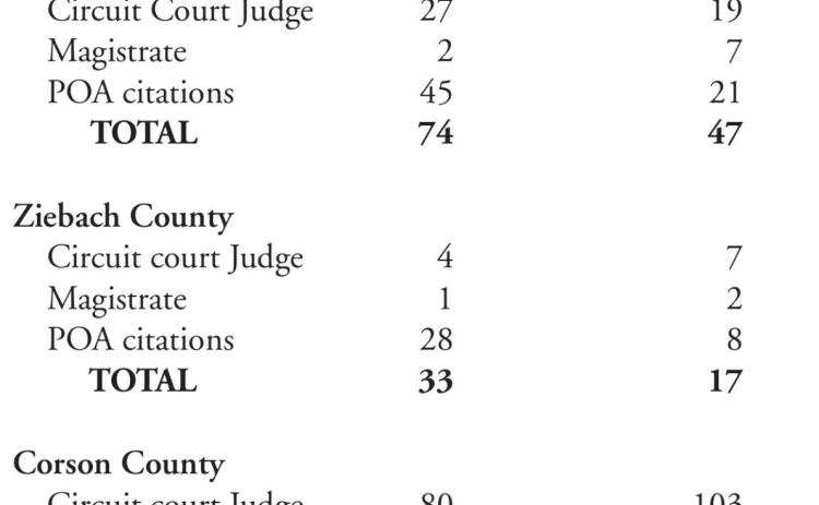 Criminal case summary for 2020