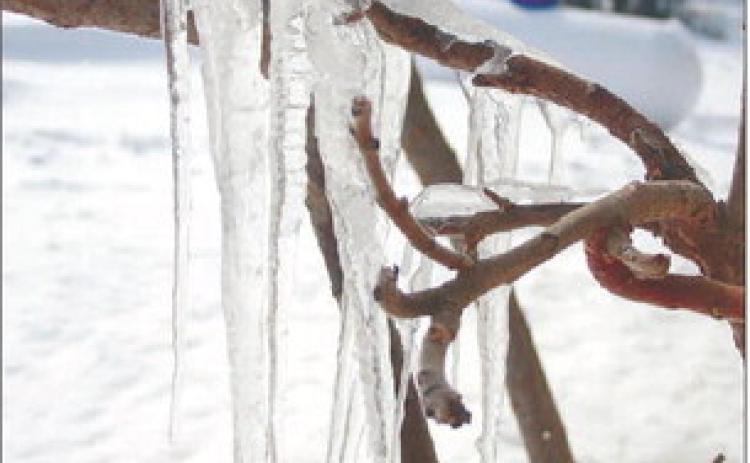Last week’s severe winter weather ushered in a few days with colder temperatures causing snow to thaw, melt, drip and re-freeze on anything in its path to create unique ice formations. Photo by Jon Flatland