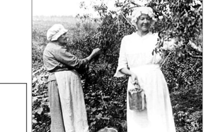 RIGHT: Belle Bramble and her mother harvesting fruit. The family was instrumental in establishing Trinity Lutheran Church in Mobridge.