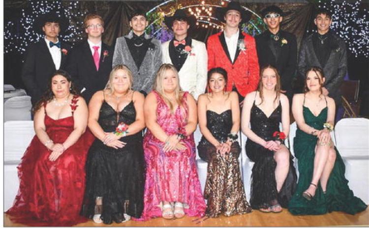 AT RIGHT: The members of the DHS Class of 2024 who attended prom. Front (L-R): Evalyn Ashley, Cassidy Farlee, Carsyn Farlee, Kamari Jensen, Taylee Jewett, and Yasmin Longbrake. Back (L-R): Alan Lemke, Case DePoy, Elijah Brewer, Bobby Brewer, Tyler Stambach, Shayden Marshall, and Kingslee Parker