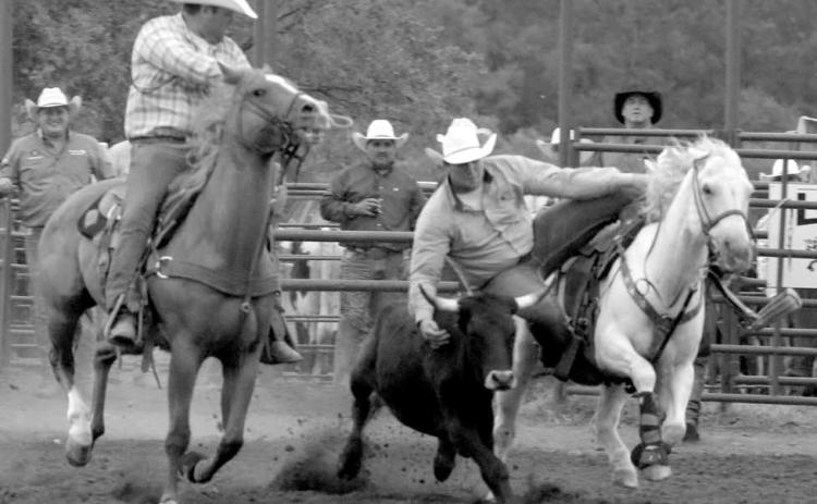 Brent Woodward of Dupree lines up a steer before dismounting during Sunday’s competition.