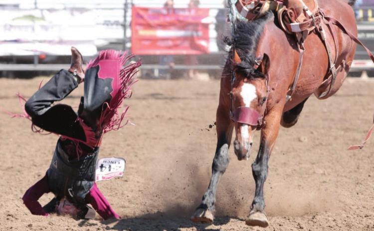 Face in the dirt, spurs in the air