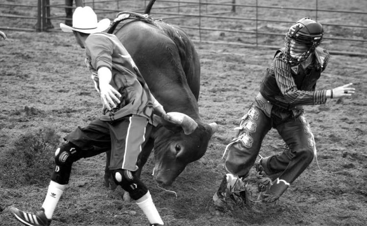 Bullfighter Darwyn Thompson draws the bull away from bull rider Wynn Lawrence of White Horse after Lawrence was bucked off. Lawrence will compete in bull riding and saddle bronc riding at the 75th annual South Dakota High School Finals Rodeo slated this weekend in Ft. Pierre. Photo by Jon Flatland