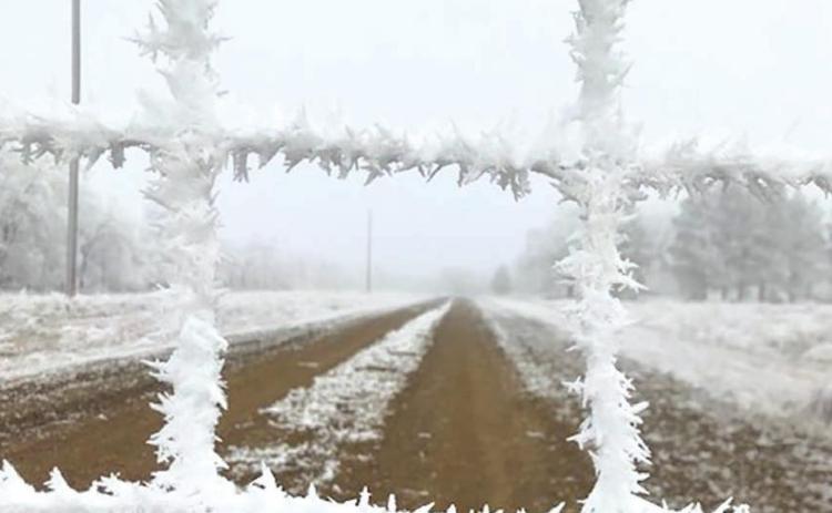 Dense fog and heavy frost