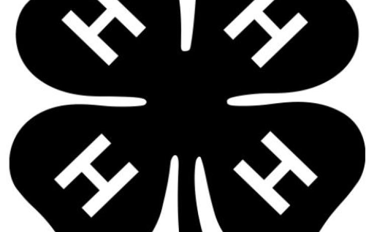 Alt Text for Image