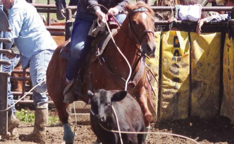 Courtney Dahlgren of Timber Lake misses her throw during the Ladies Breakaway Roping event at the 62nd annual Dupree Pioneer Days Rodeo on Sunday, June 25. Photo by Jon Flatland