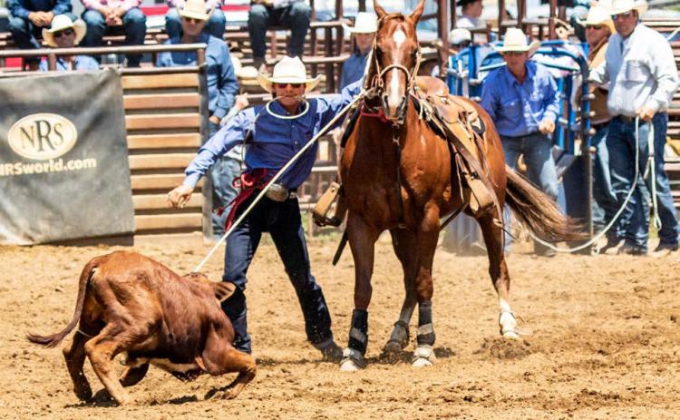 Rope Roghair of Isabel keeps his eye on the prize while competing in tie-down roping at the Northwest Regional Rodeo June 9-11 in Dupree. Roghair qualified for the State HS Finals Rodeo in Ft. Pierre this week in tie-down roping, team roping and saddle bronc riding. Photo by Dave Clausen