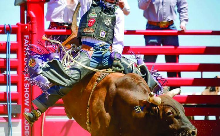 Timber Lake High School’s Wynn Lawrence of Whitehorse won the bull riding event at the Northwest Region Rodeo in Buffalo last weekend with this 71 point ride and qualified for the State High School Finals Rodeo June 17-21 in Ft. Pierre. Lawrence also won the opening round of saddle bronc riding and finished third overall. Photo by Chuck Miner