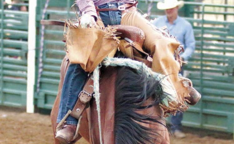 Teigan Clark of Meadow was crowned the 2022 Isabel Rodeo saddle bronc riding champion after a thrilling 79 point ride during Saturday night’s session. Photo by Jon Flatland